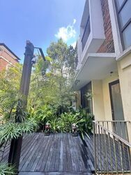 Lornie Road (D11), Terrace #554210761